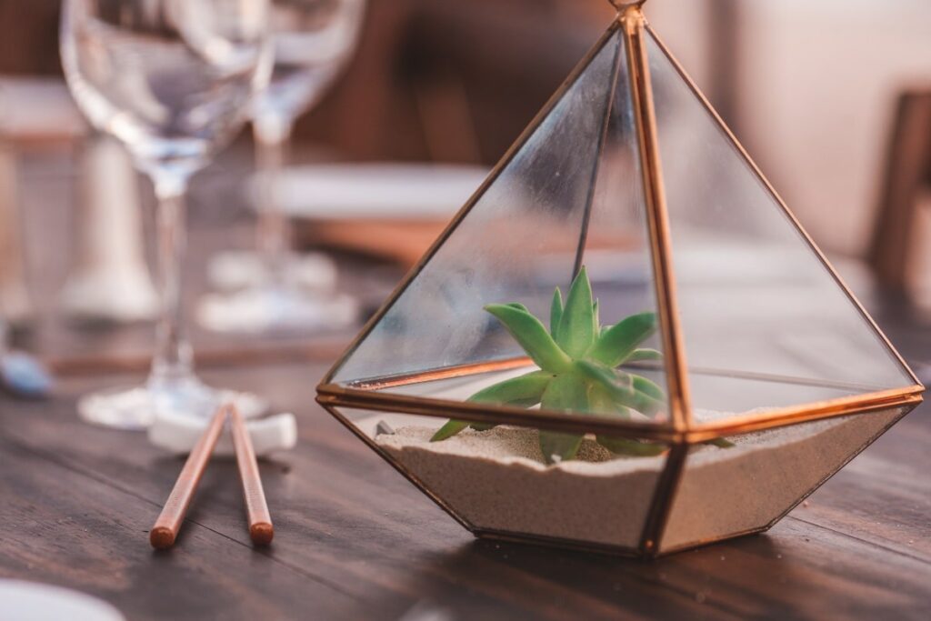 Dining Room Terrarium Tables: Elevate Your Dining Experience with